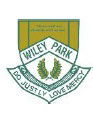 Wiley Park Girls High School Punchbowl