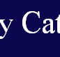 McCarthy Catholic College Tamworth - Australia Private Schools
