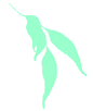 Horticultural Training Pty Ltd - Australia Private Schools