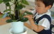 Australian Montessori Society - thumb 3