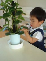 Australian Montessori Society - Australia Private Schools 3