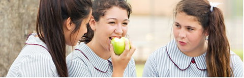 Mamre Anglican School - School Find 4