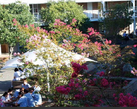 Moriah College - Australia Private Schools 1