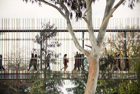 Our Lady Of Mercy College - School Find 4