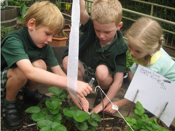 Highfields Preparatory And Kindergarten School - School Education 2