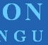 BYRON BAY ENGLISH LANGUAGE SCHOOL - Australia Private Schools