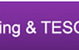 Institute Of Continuing And Tesol - thumb 0