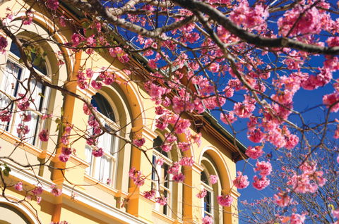 Brisbane Girls Grammar School - Australia Private Schools 3