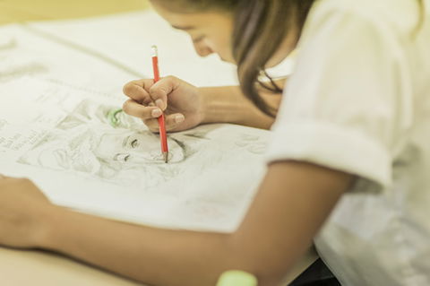 St Patrick's Marist College, Dundas - School Find 3