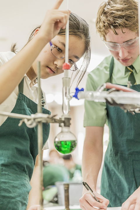 St Patrick's Marist College, Dundas - School Find 12