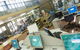 Penrith Christian School - thumb 3