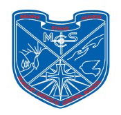 Mcauley Catholic Central School - Australia Private Schools