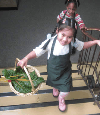 Ascot Vale Special School - School Find 3