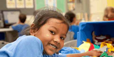 Don Bosco Catholic Primary School - School Find 2