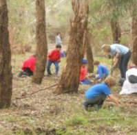 Guildford Primary School - School Find 4