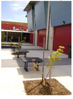 Wellington Secondary College - School Education 1