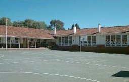 Collier Primary School - School Education 0
