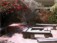 Cecil Andrews Senior High School