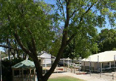 Bindoon Primary School - School Find 1