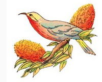 Coodanup Community College