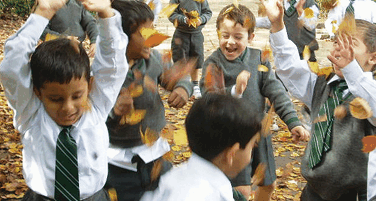 Trinity Grammar Preparatory School - Australia Private Schools 2