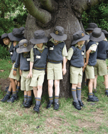 Sydney Grammar St Ives Preparatory School - School Education 3