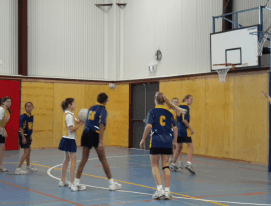 Henley Beach Primary School - Australia Private Schools 2