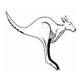 Kangarilla Primary School - School Education