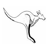 Kangarilla Primary School - School Education 0
