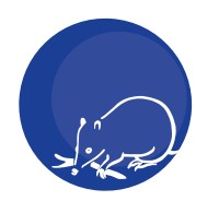 Mylor Primary School