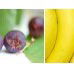 Beck Health  Nutrition - School Education