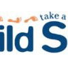 Child Side School - School Education