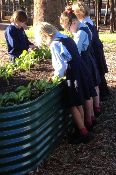 Good Shepherd Catholic Primary School Kelmscott - Australia Private Schools 3