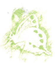 Linuwel School Ltd - School Find 0