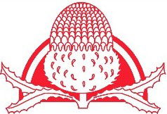 Waddington Primary School - Australia Private Schools 0