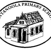Tantanoola Primary School - School Education
