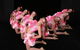 Riga Victoria Dance Academy - thumb 1