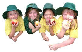 Holy Family Primary School Mt Waverley - Australia Private Schools 1