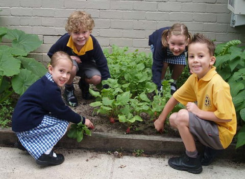 St Raphael's Catholic Primary School - School Find 1