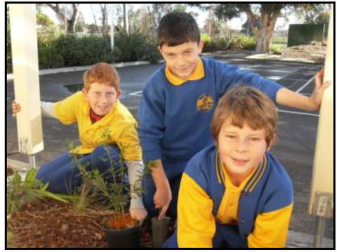 Avondale Primary School - Australia Private Schools 1