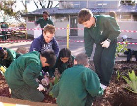 St Albans North Primary School - School Find 2