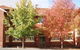 Flemington Primary School - thumb 1