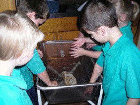 Naranga School  - Australia Private Schools 3