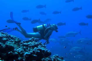 Aquatic Adventures Courses - Australia Private Schools 0