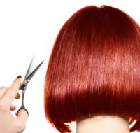 The Angel Hair  Beauty Institute- Hair  Beauty School Ballarat - School Find