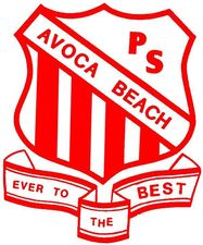 Avoca Beach NSW School Find
