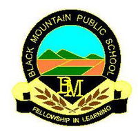 Black Mountain Public School - School Find