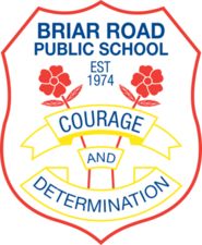 Briar Road Public School - Australia Private Schools 0