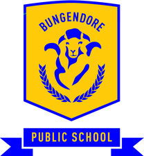 Bungendore Public School - School Education 0