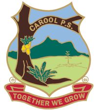 Carool Public School - Australia Private Schools 0